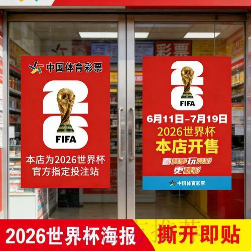 世界杯竞猜技巧揭秘，教你科学制定投注计划